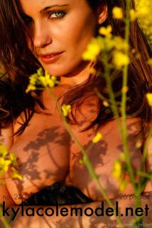 Kyla Cole - Gallery no. 250