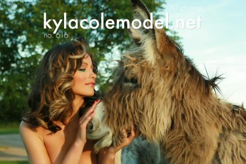 Kyla Cole - Gallery Cover no. 616